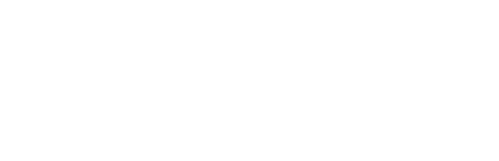 Sömnis VISA logga